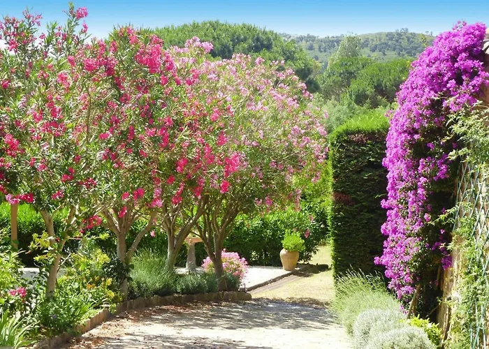 In Roquebrune With Sea View & Pool * La Garonnette-Plage